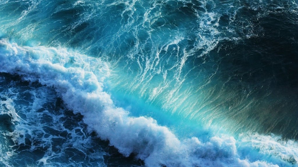 Is The Future of Technology in Our Oceans?